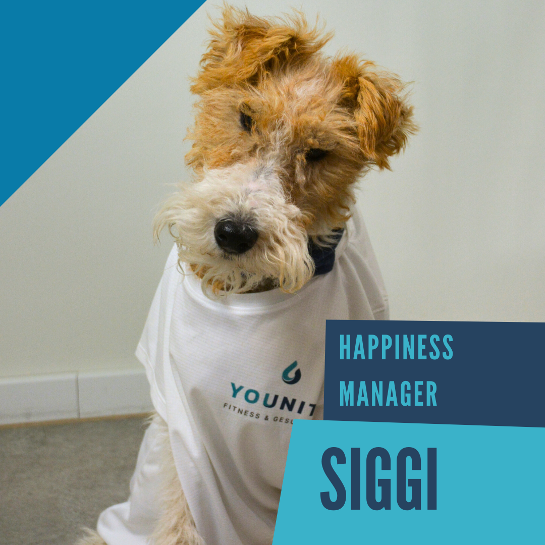 Siggi